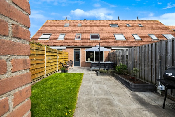 Scholekster 41_30.jpg